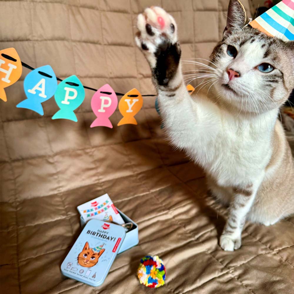 Kit cumpleaños gato