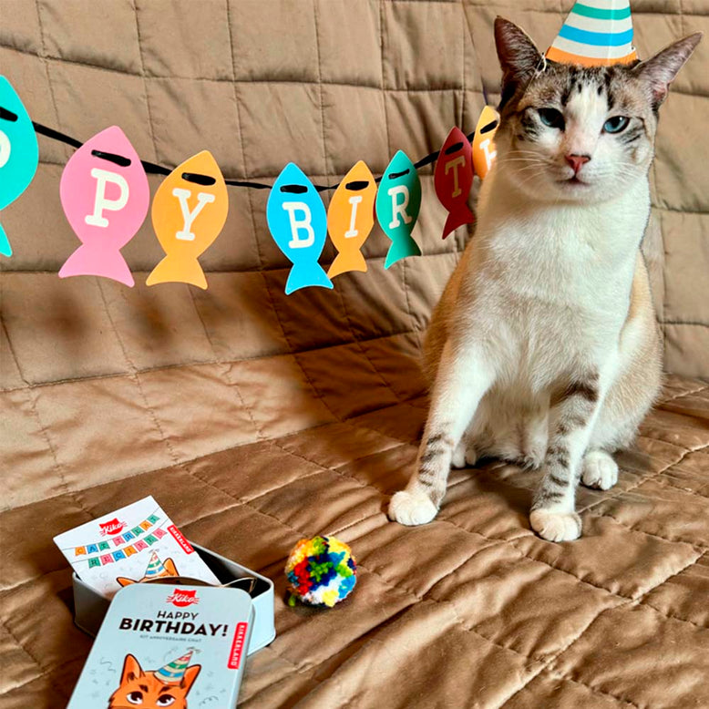 Kit cumpleaños gato