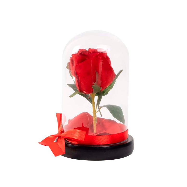 Rosa en campana de cristal