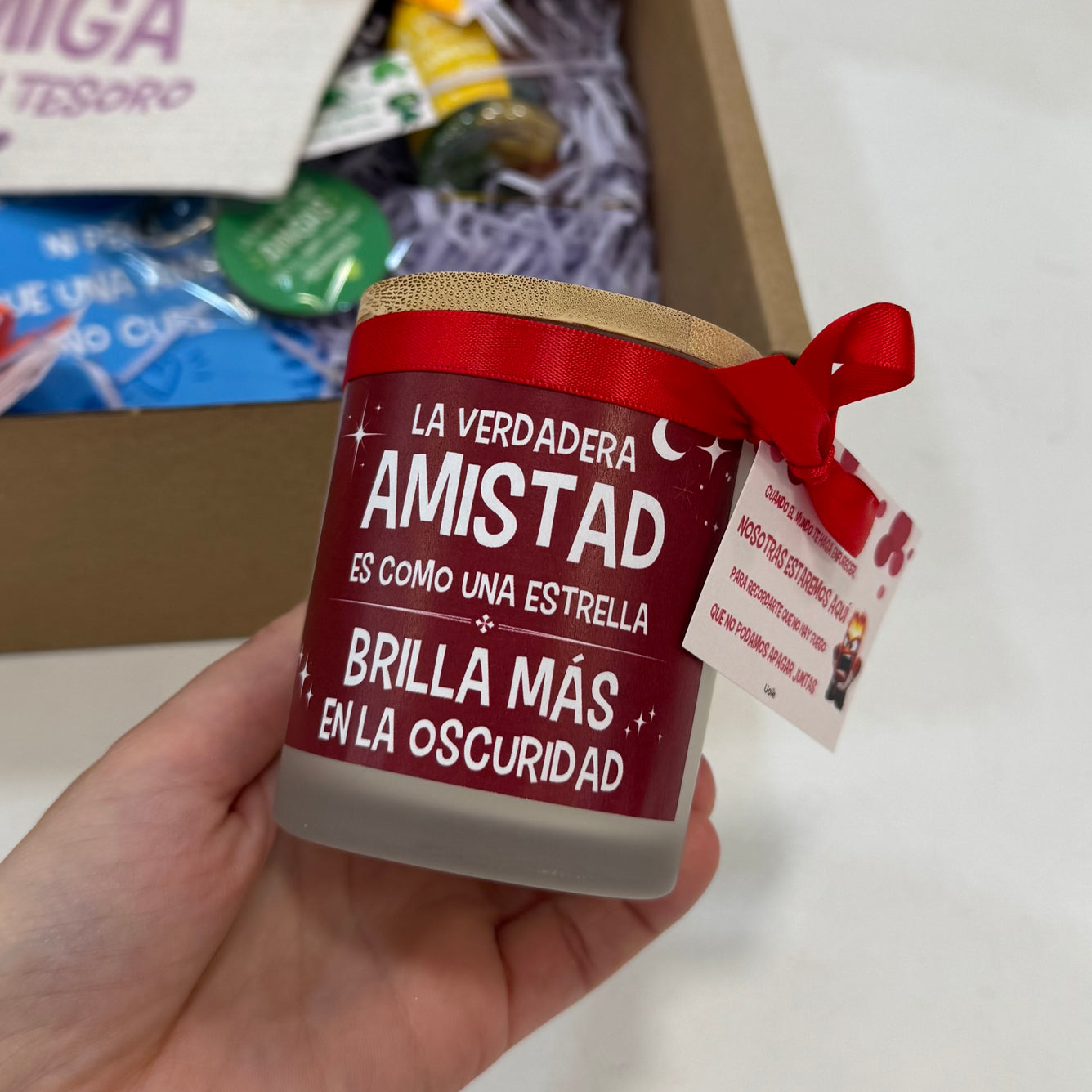 Kit Amiga